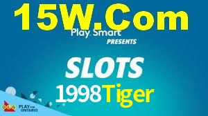 Explore as vantagens do 1998Tiger: serviço profissional e confiabilidade