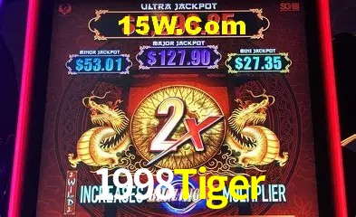 Integração de APIs 1998Tiger